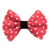 Barrette Minnie